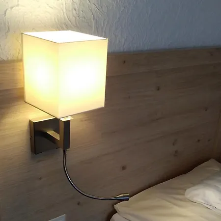 Land-gut-hotel Zum Alten Forsthaus - Aufladestation Fuer Elektroautos