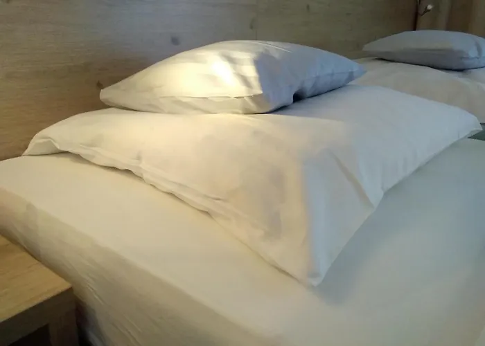 Hotel Land-gut-hotel Zum Alten Forsthaus