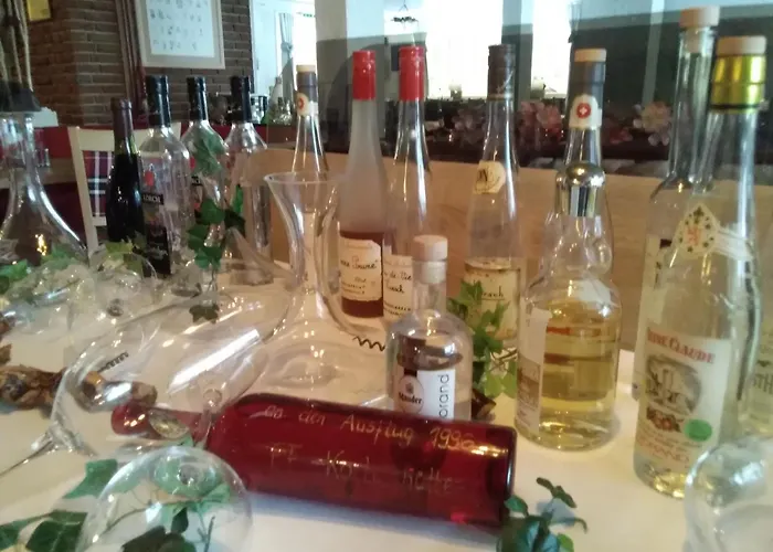 Land-gut-hotel Zum Alten Forsthaus Hotel