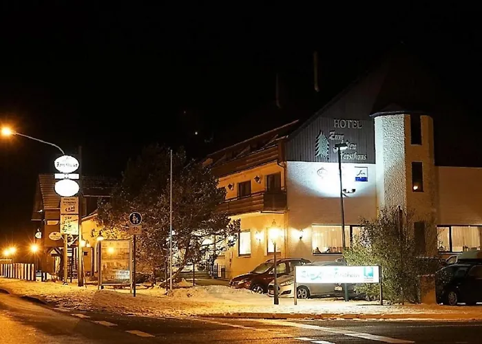 Land-gut-hotel Zum Alten Forsthaus - Aufladestation Fuer Elektroautos Отель 4*